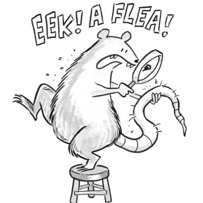 Eek-a-flea