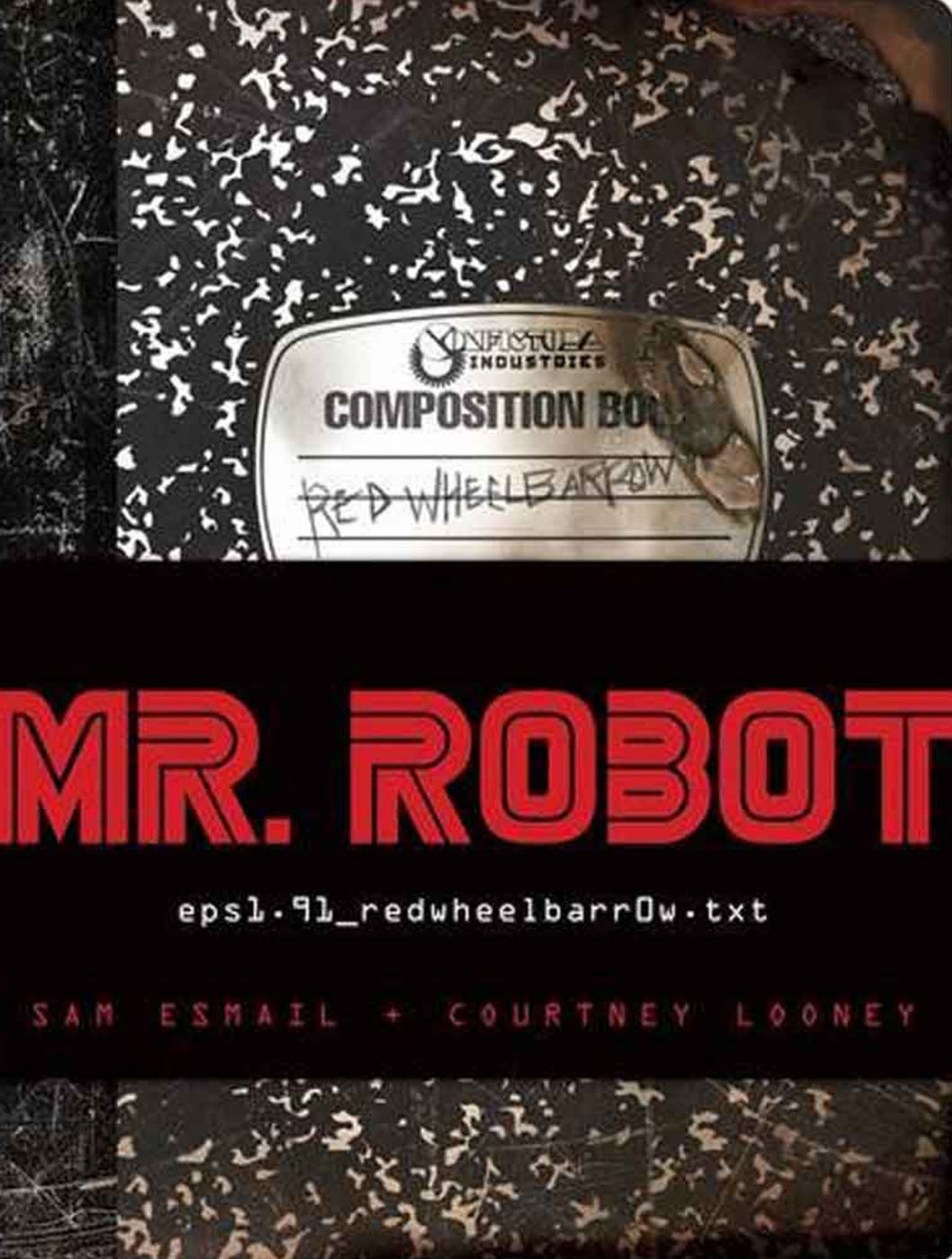 Mr.-Robot-book-copy